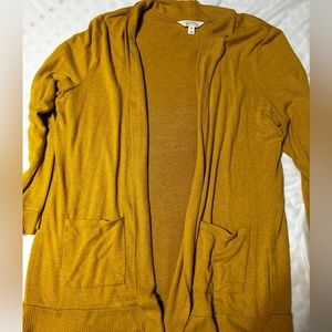 Market & Spruce cardigan; XXL